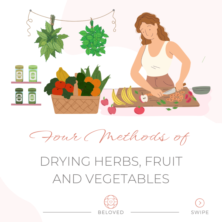 1-Four-methods-of-drying-fruits-and-vegetables.png