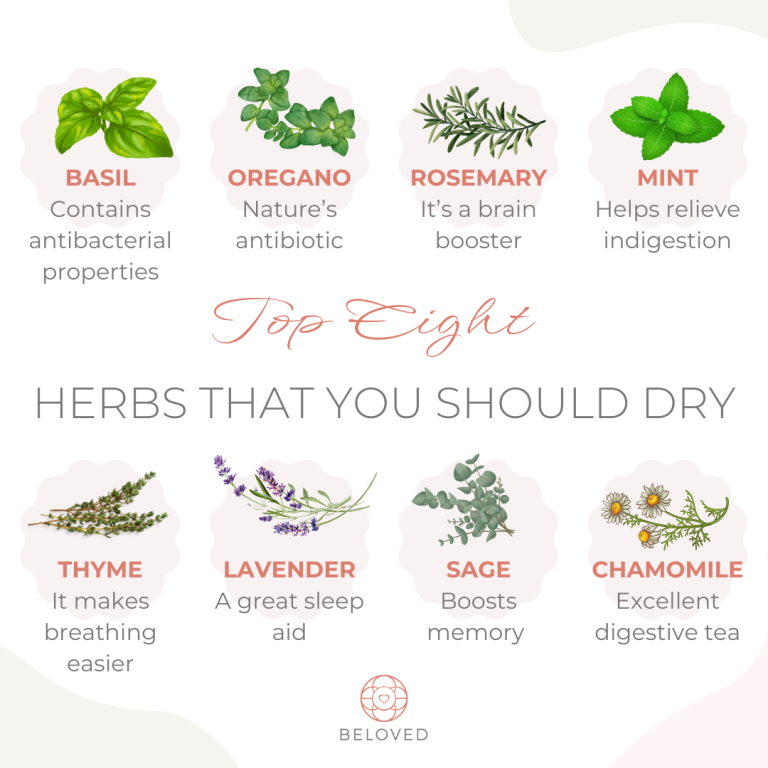 Top-Eight-Herbs-to-dry.png