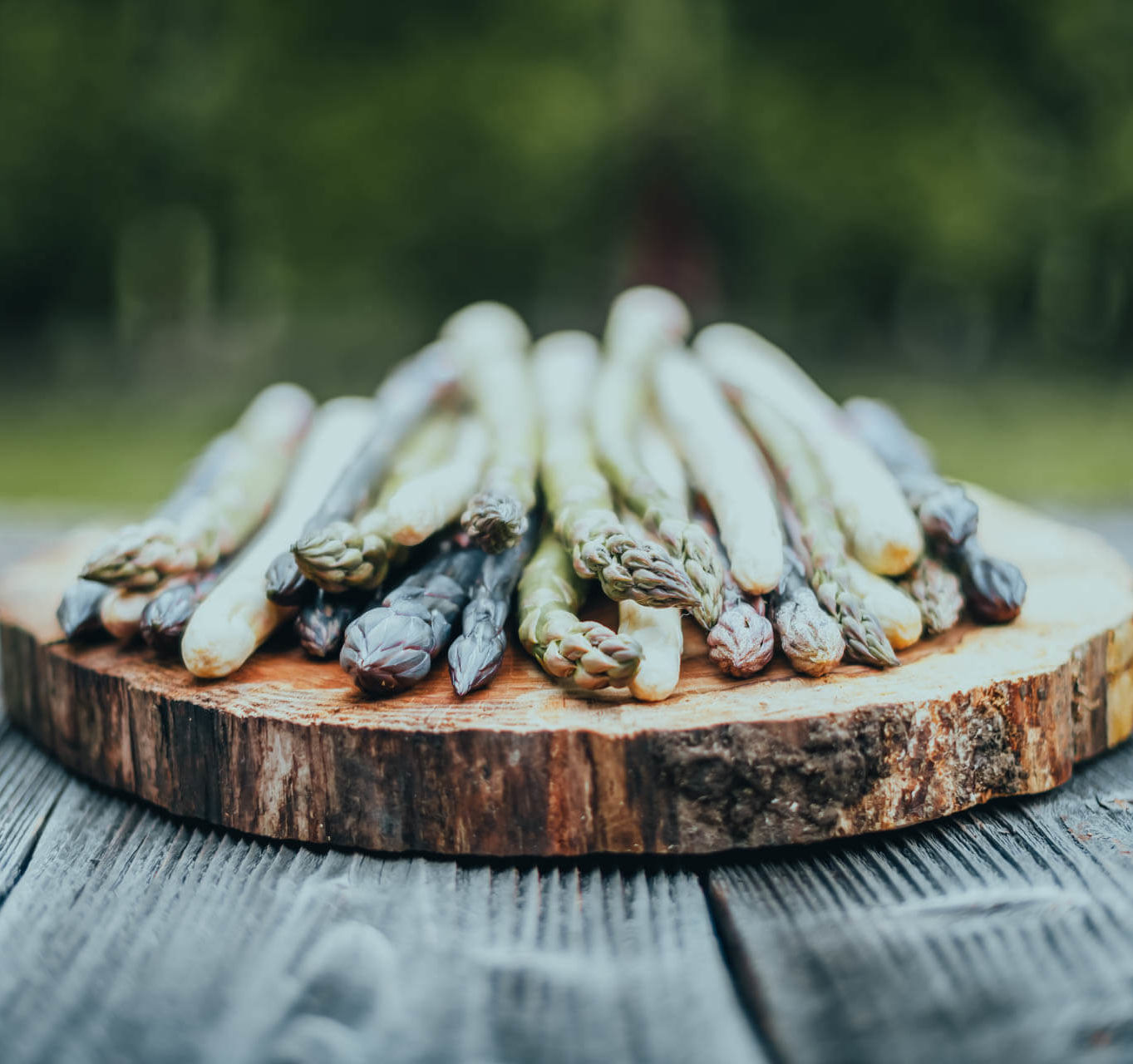 Fresh pea sprouts grown at One Belvedere regenerative organic farm