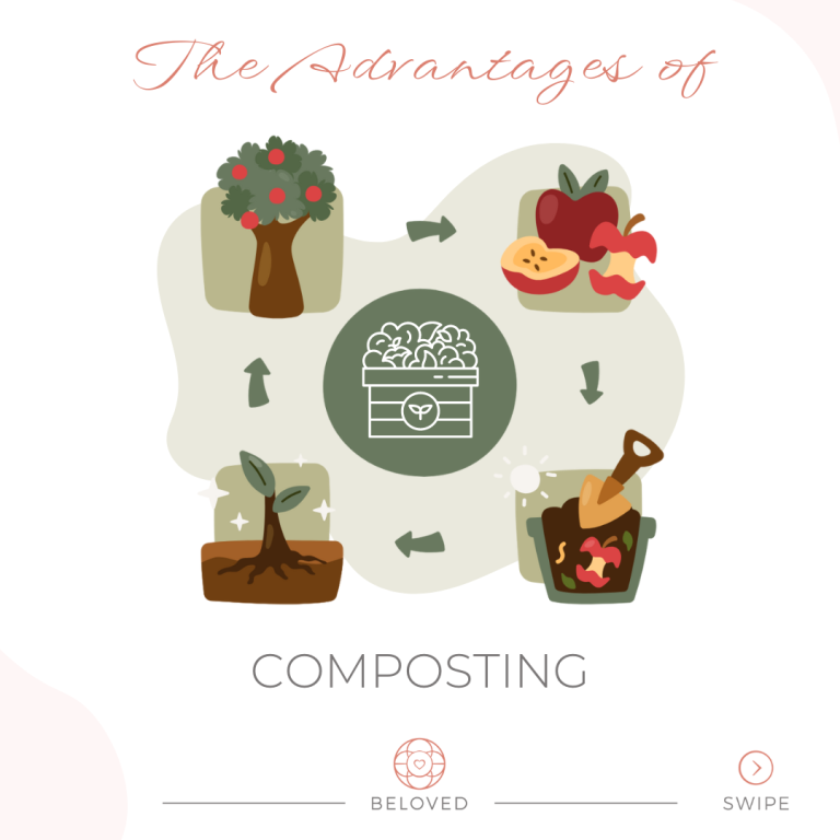 1-The-Advantages-of-Composting.png