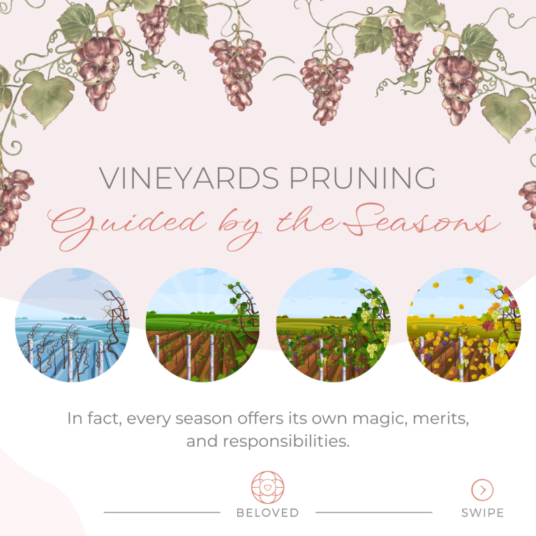 1-Vineyards-Pruning.png