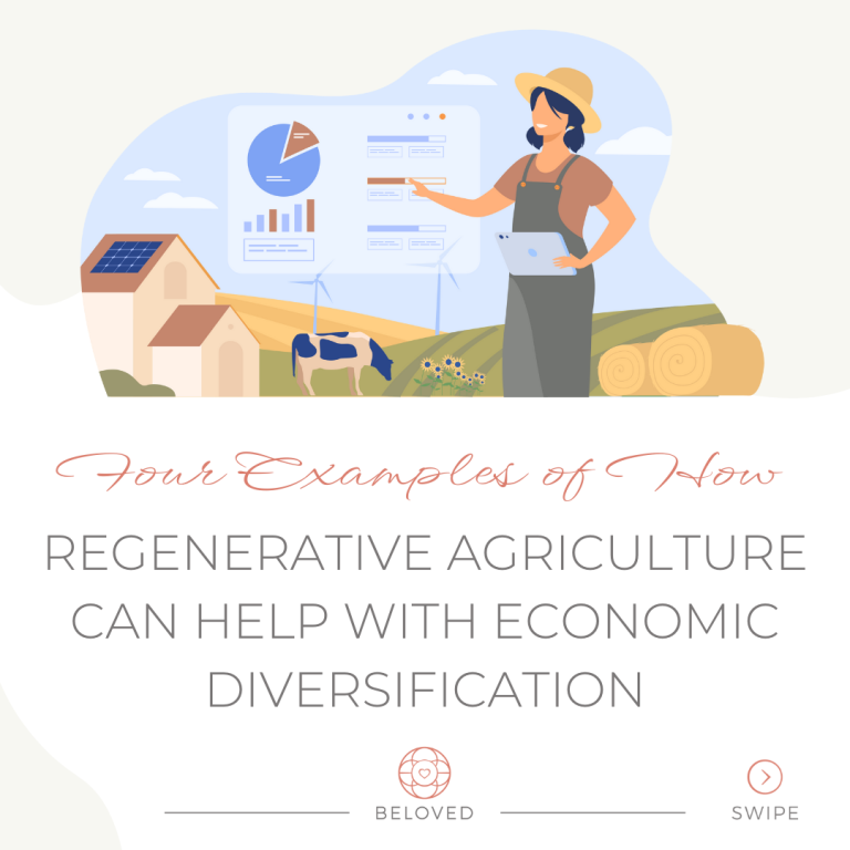 14-Four-Examples-helps-economic-diversification.png