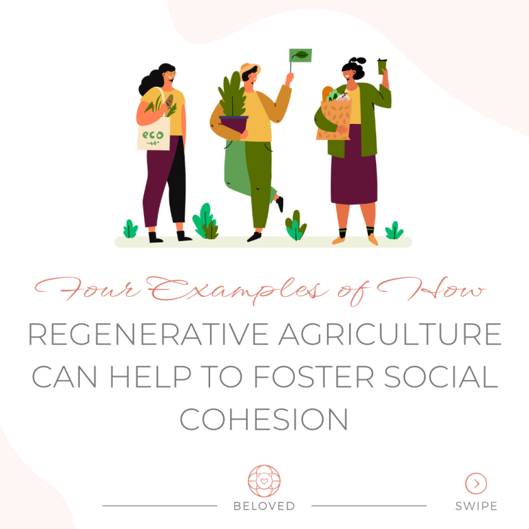 19-4-examples-Help-Foster-Social-Cohesion.png