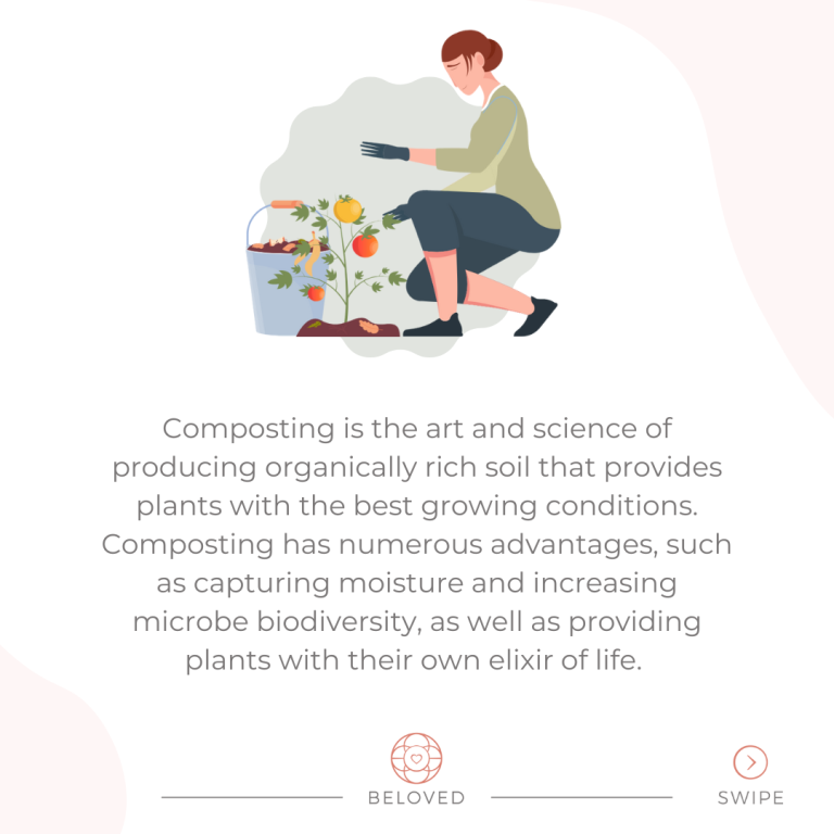 2-Composting-Defined.png