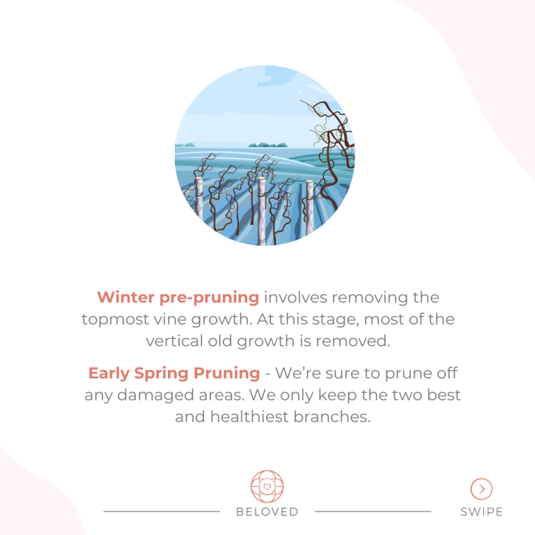 2-Winter-Pre-Pruning.png