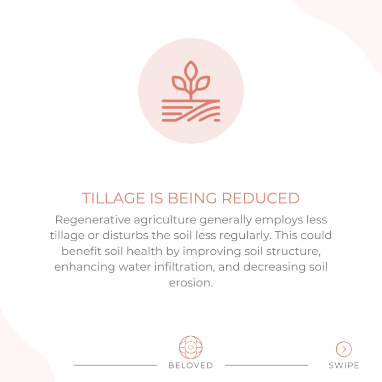 3-Reduced-Tillage.png