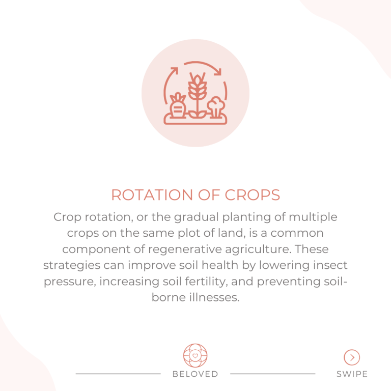 4-Crop-Rotation.png