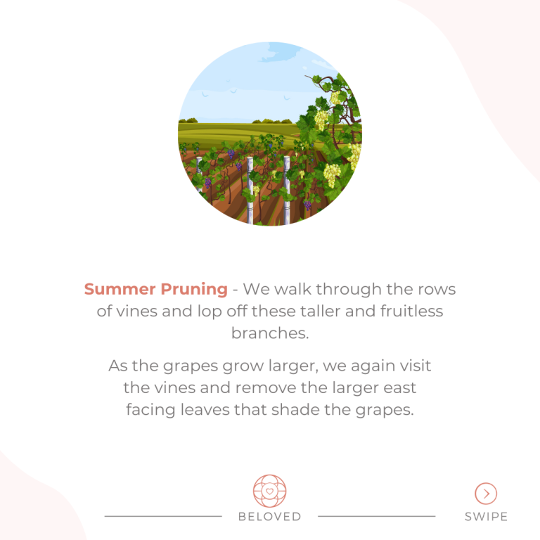 4-Summer-Pruning.png