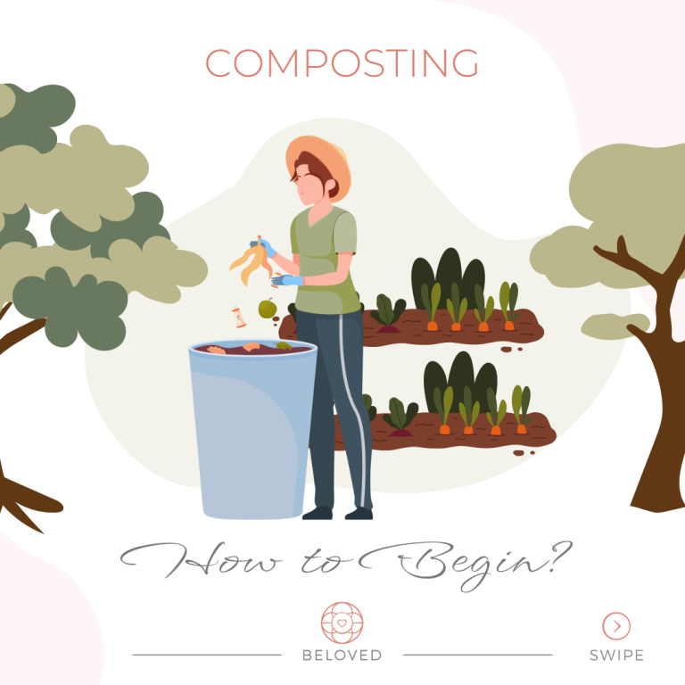 5-Composting-How-to-begin.png