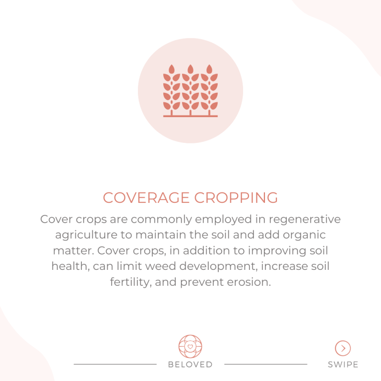 5-Coverage-Cropping.png