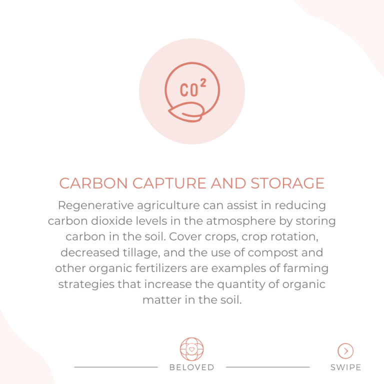8-Carbon-Capture-_-Storage.png