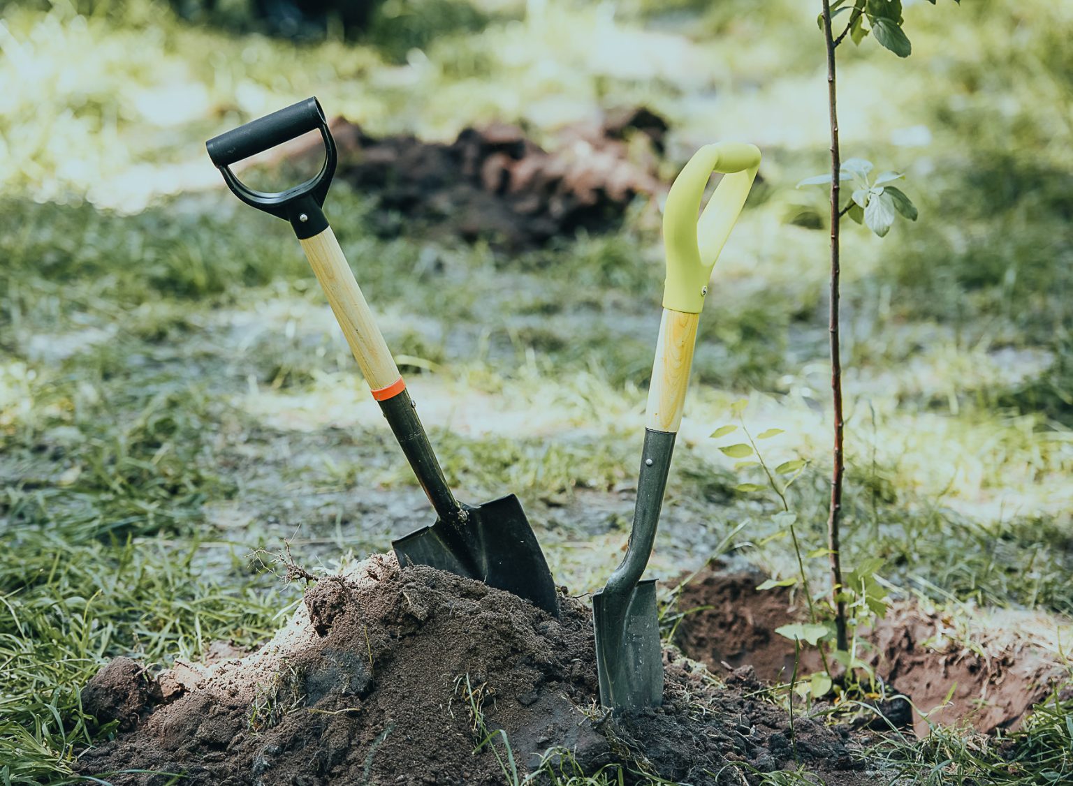 Planting Oshc The planting and care of sustainable orchards