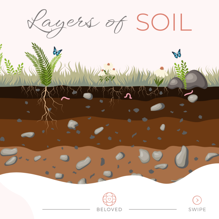 1-Layers-of-Soil.png