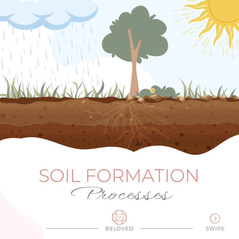 1-Soil-Formation-Processes.png