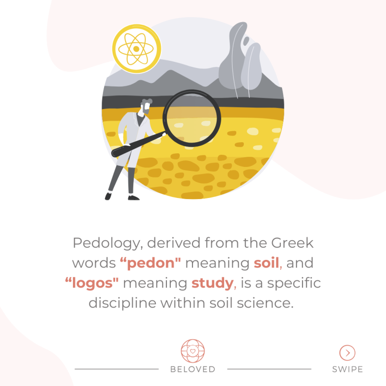 2-Pedology-Defined.png