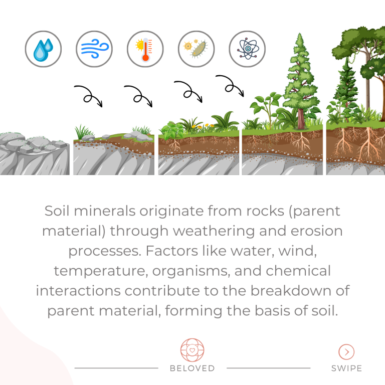 2-Soil-Minerals.png