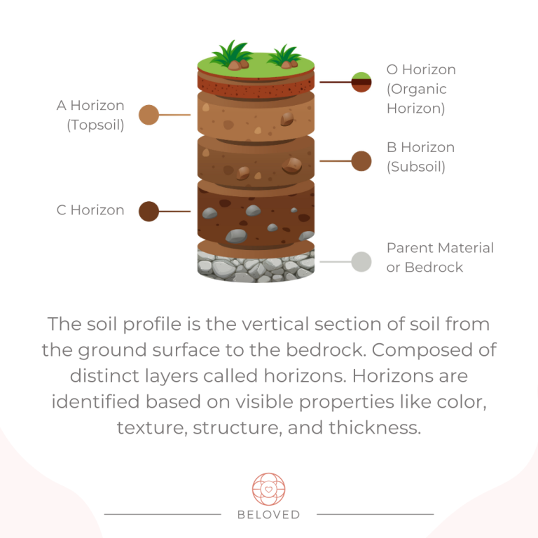 2-The-Soil-Profile.png