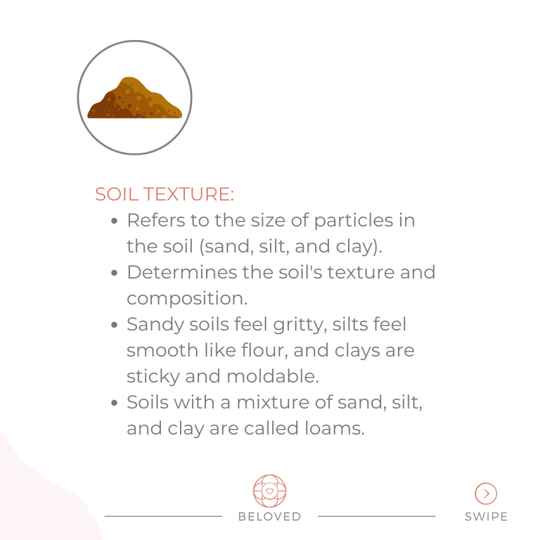 3-Soil-Texture.png