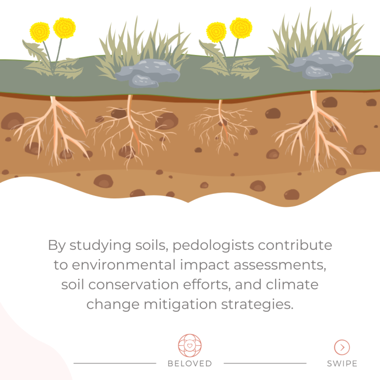 4-By-studying-soils.png