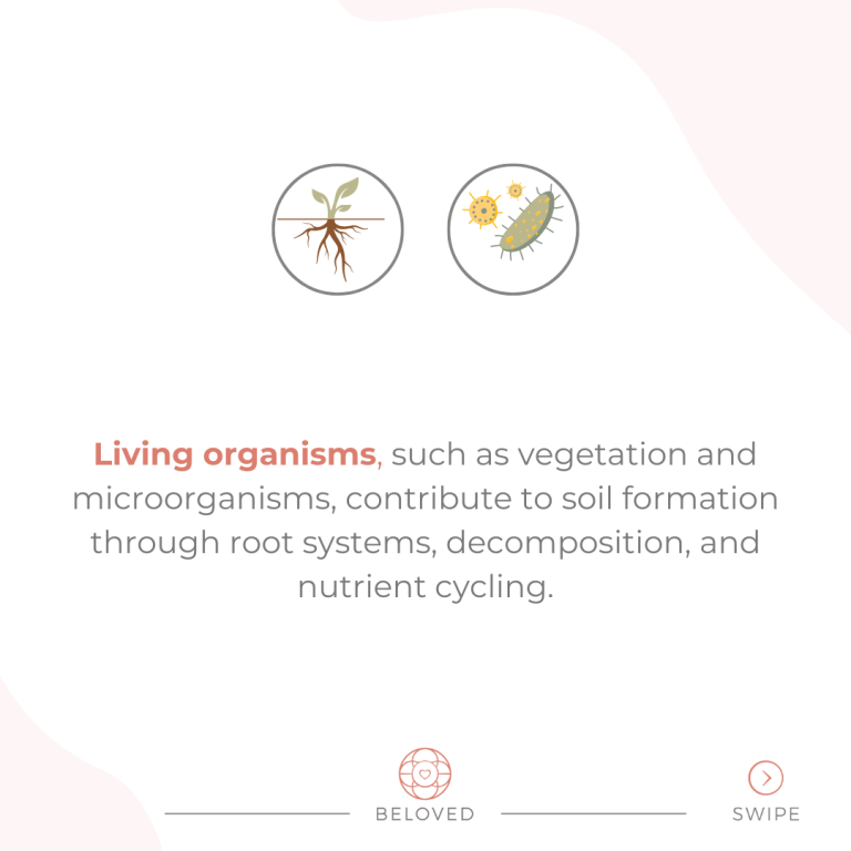 4-Living-Organisms.png