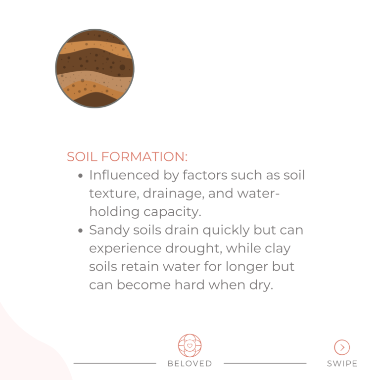 4-Soil-Formation.png