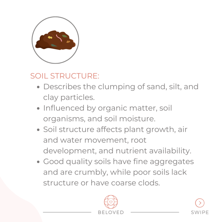 5-Soil-Structure.png