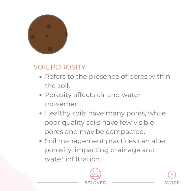 6-Soil-Porosity.png