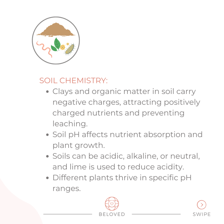 7-Soil-Chemistry.png