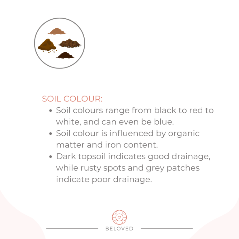 8-Soil-Color.png