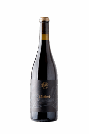 Bottle of Balvede Sangiovese Wine