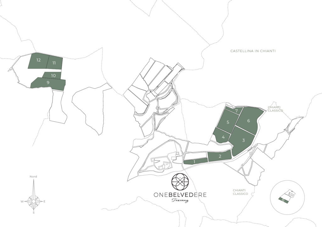 map of vineyards at One Belvedere Tuscany