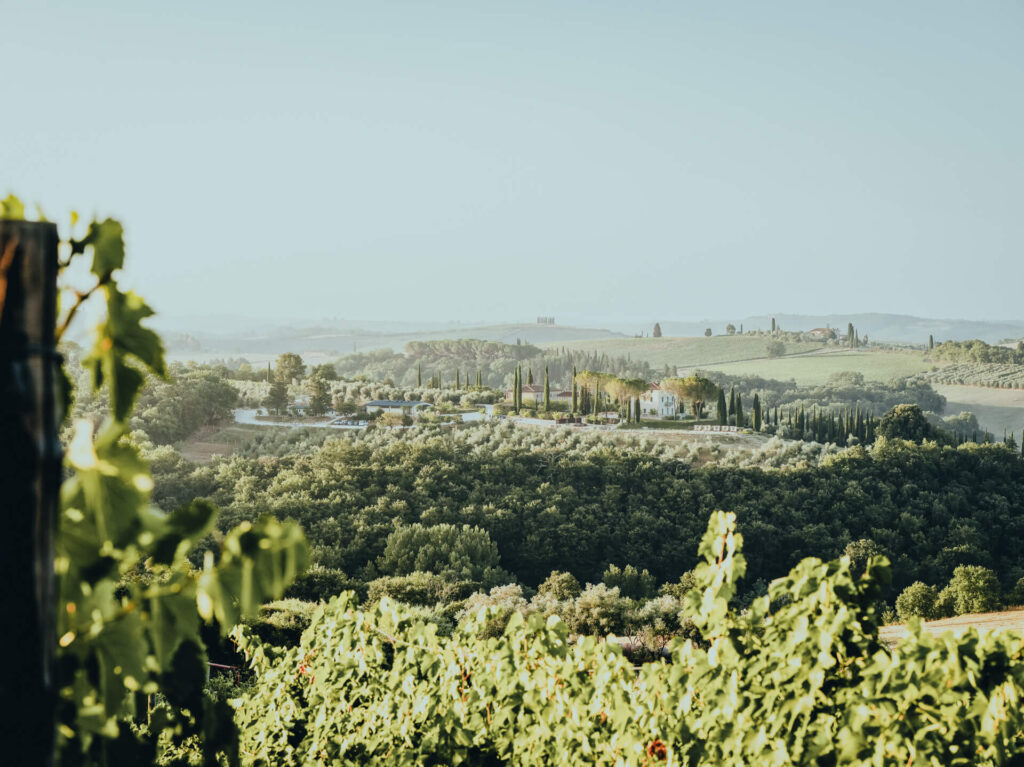 Aerial view of the Chianti Classico Harvest at One Belvedere Tuscany, showcasing the estate surrounded by lush vineyards and rolling green hills.