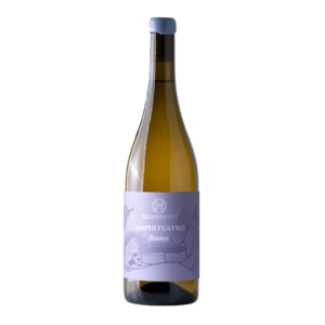 Amphiteatro Bianco – Toscana IGT