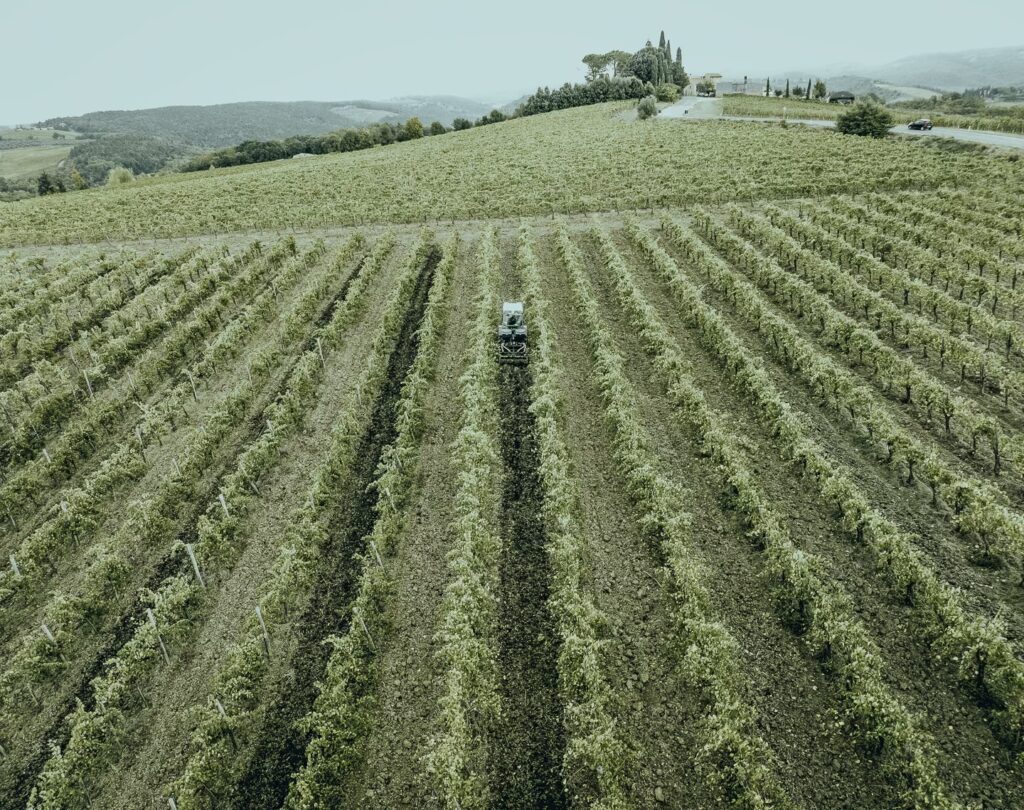 Spring soil preparation in Chianti Classico vineyard at Belvedere 1, with tractor cultivating Tuscany soil between vine rows.