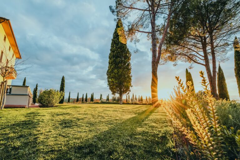 Golden sunset light filtering through tall cypress and pine trees across the manicured lawns of One Belvedere Tuscany, with dramatic clouds gathering over the rolling Chianti countryside.