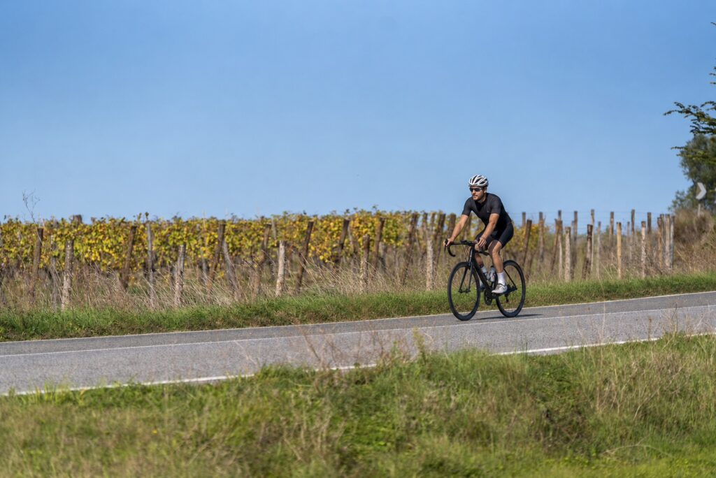 Cyclist riding along a quiet vineyard road on a day off in Chianti, surrounded by open countryside and autumn vines.