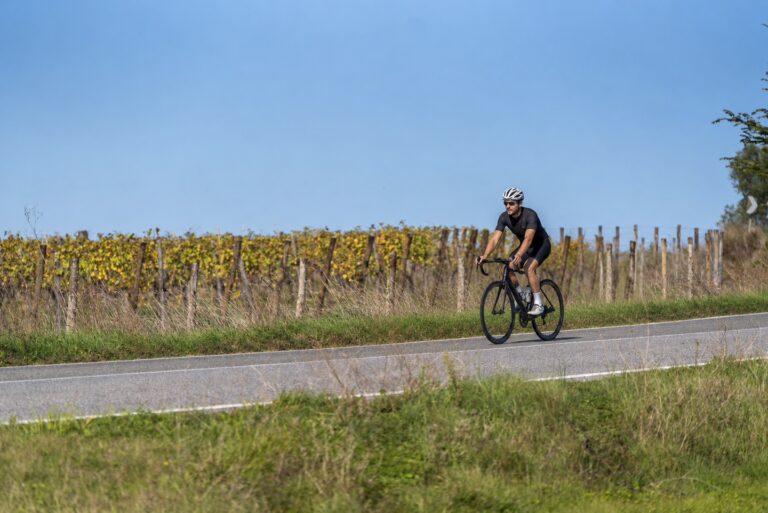 Cyclist riding along a quiet vineyard road on a day off in Chianti, surrounded by open countryside and autumn vines.