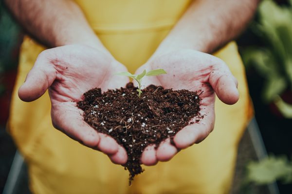 mens-hands-holding-the-soil-with-little-plant-in-t-2021-08-29-19-18-31-utc-1.jpg