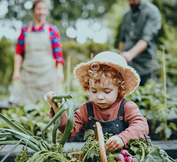 small-girl-with-parents-gardening-on-farm-growi-1-e1683740629455.jpg